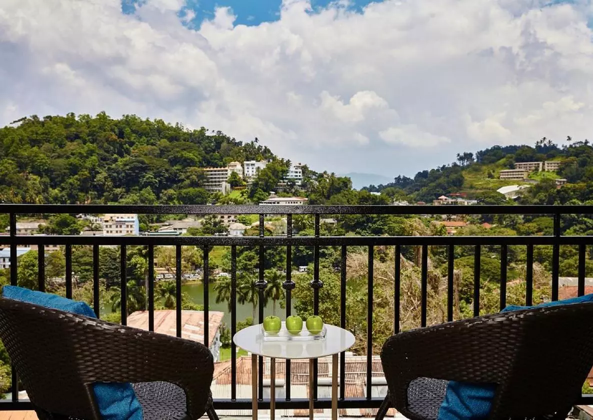 423786OZOCANDY_SHABAVIZ (2).jpg